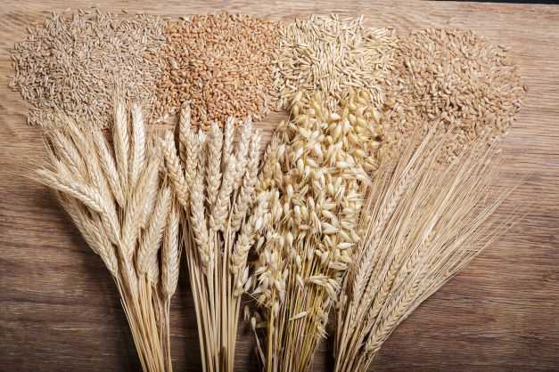Coeliac Disease: Symptoms, Diagnosis & Gluten-Free Treatment Guide